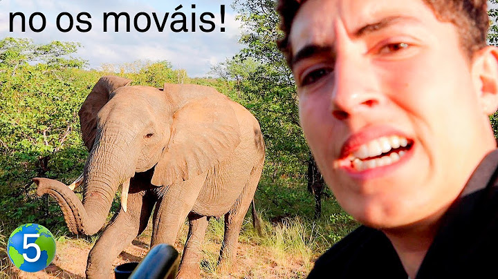 ELEFANTE NOS INTENTA ATACAR! - Vuelta Al Mundo En 80 Días