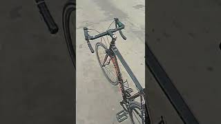 RIPLEY SPORTBIKE