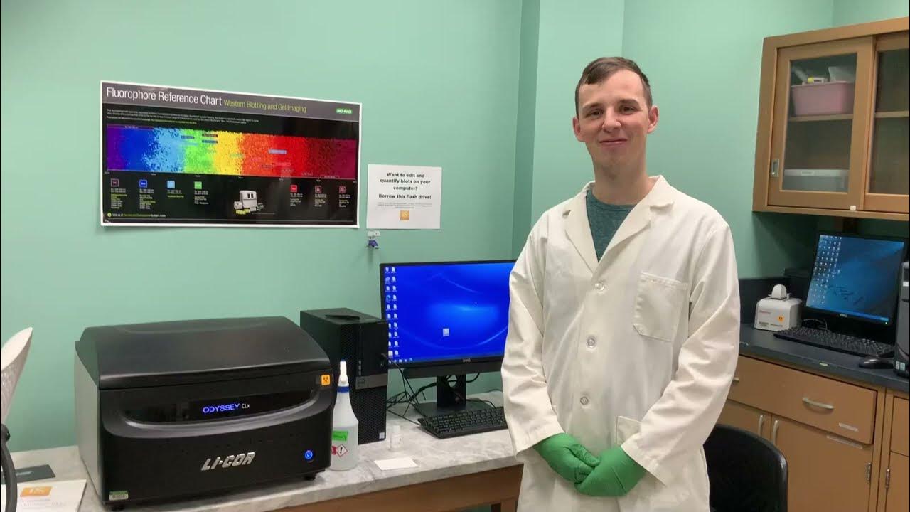 LICOR Odyssey CLx & Fc Membrane Imagers MSU PHM/TOX Molecular