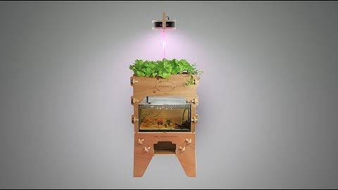 The 1st Open Source Aquaponic Kit