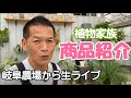 植物家族 商品紹介 岐阜農場 生ライブ  シダ植物　エレモフィア　真珠の木　コウシュンカズラ【おうちでガーデニング】開花園チャンネル