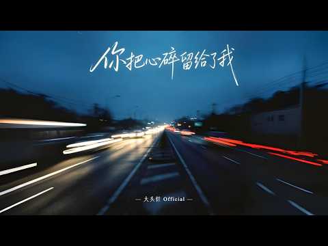 你把心碎留给了我 - 大头针