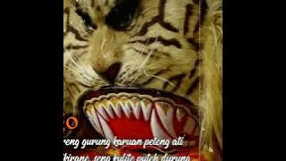 STORY WA JAWA ( REOG PONOROGO)