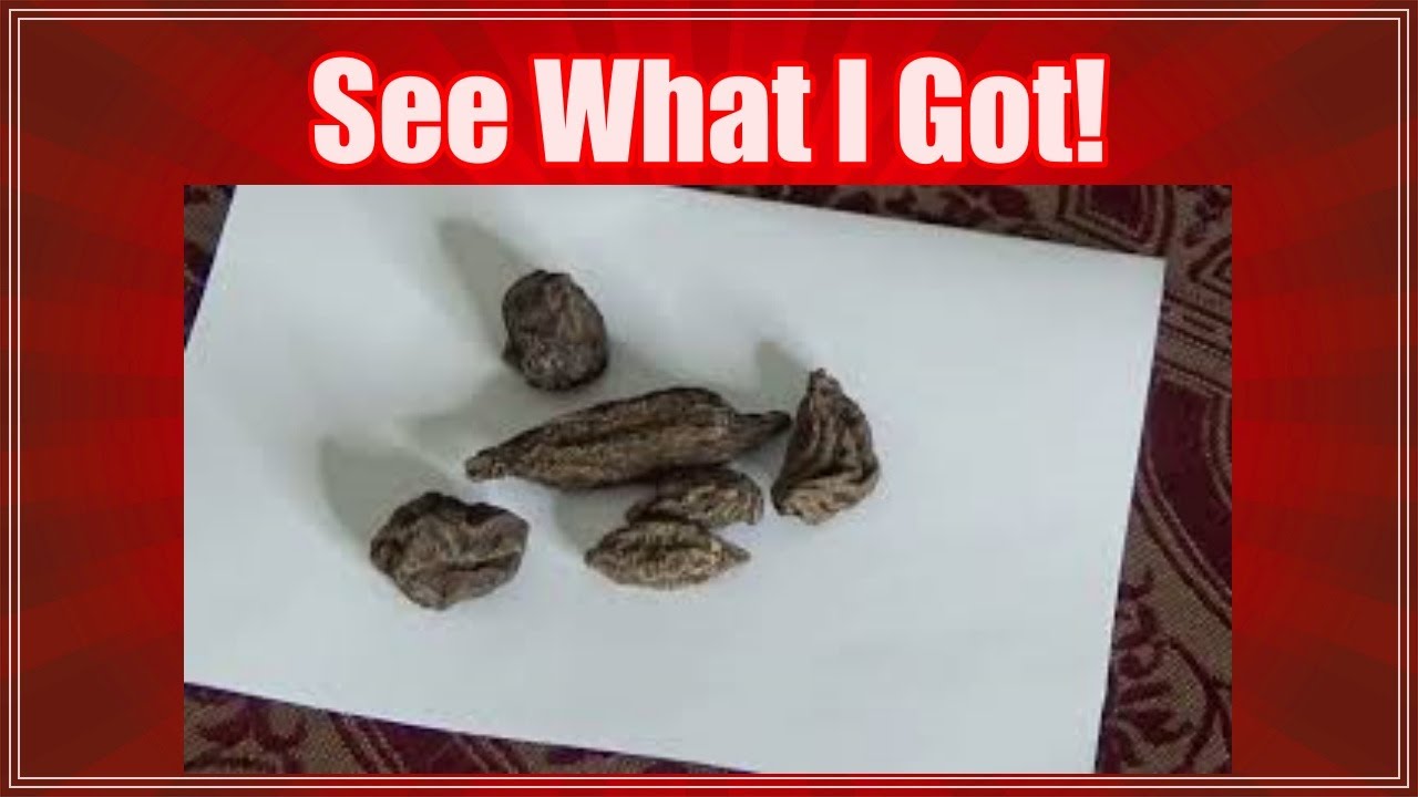 My Shopping Trips in New Orleans 2021 || Visits to Haus of Hoodoo and Hex: Old World Witchery