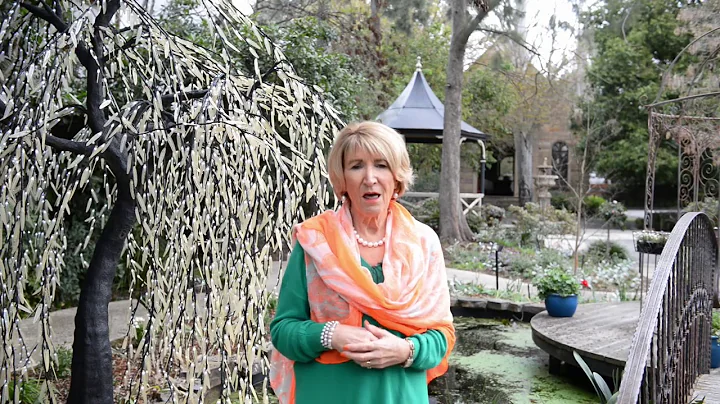 Why Choose me for your Wedding? Yvonne Wood
