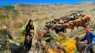 “⛰️ A Nomadic Mother’s Daily Struggle in the Wild Zagros 🌿🐑”