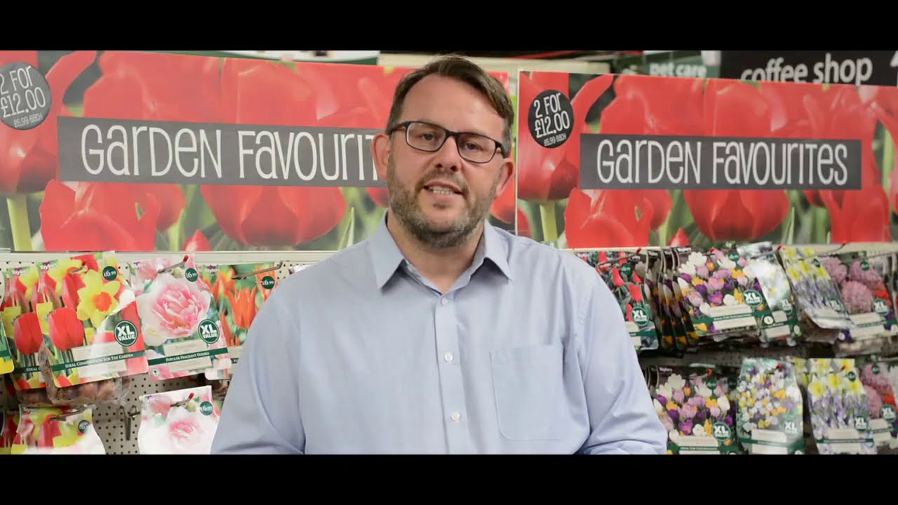 Garden Grow How - Spring Flowering Bulbs - YouTube