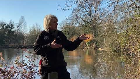 Interview with a Park Ranger: What work do you do on a day to day basis?