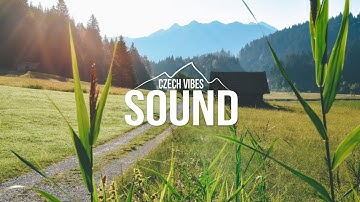 Catnip Cloud - Connected