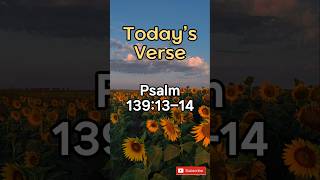 Today’s Verse – Psalm 139:13–14