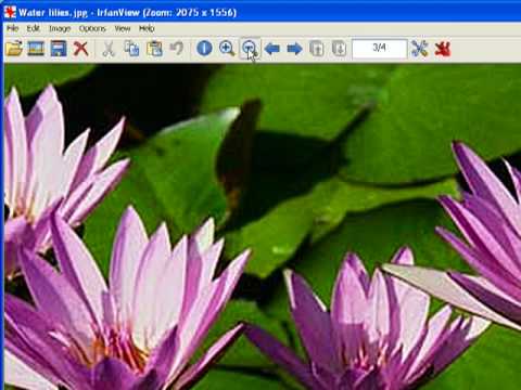 Update Irfanview - JPG's and Gif's