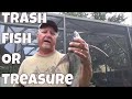 Can You Eat Saltwater Catfish Trash Fish or Treasure