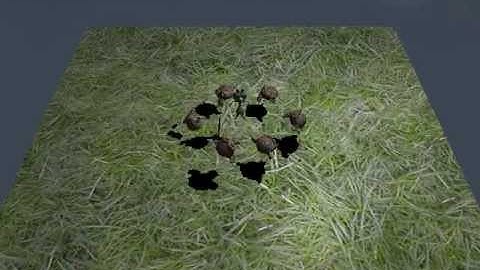 Shadow Mapping and Skybox in GLSL