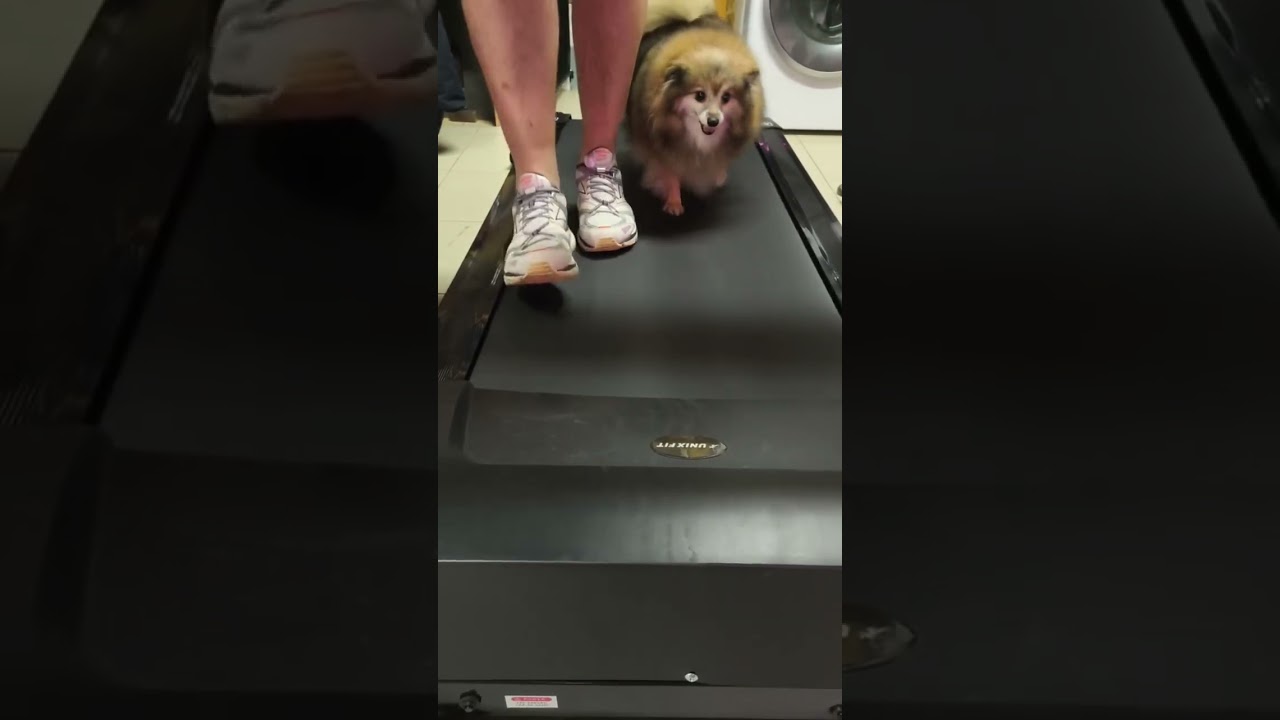 Папа, я красиво двигаюсь? 