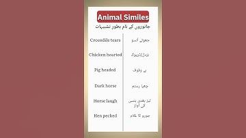 Thumbnail of Animal Similes | جانوروں کے نام بطور تشبیہات #easyenglisheveryday #animal #dailyenglish #english