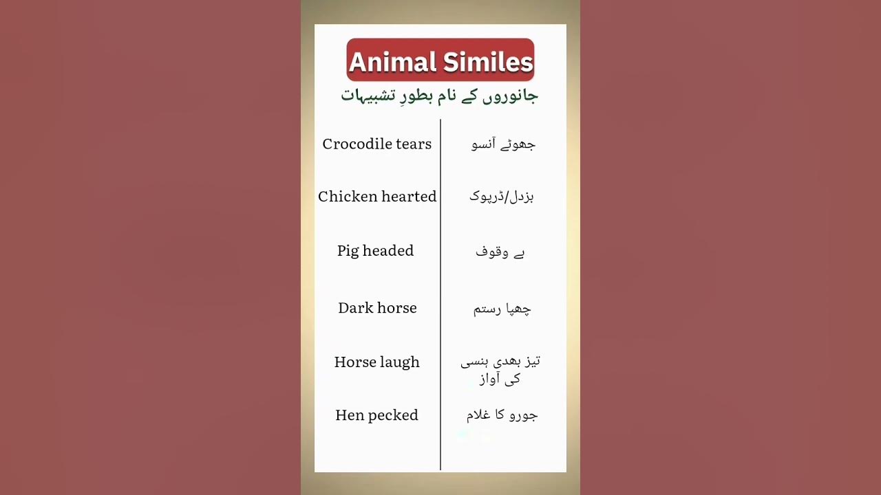 Animal Similes | جانوروں کے نام بطور تشبیہات #easyenglisheveryday #animal #dailyenglish #english