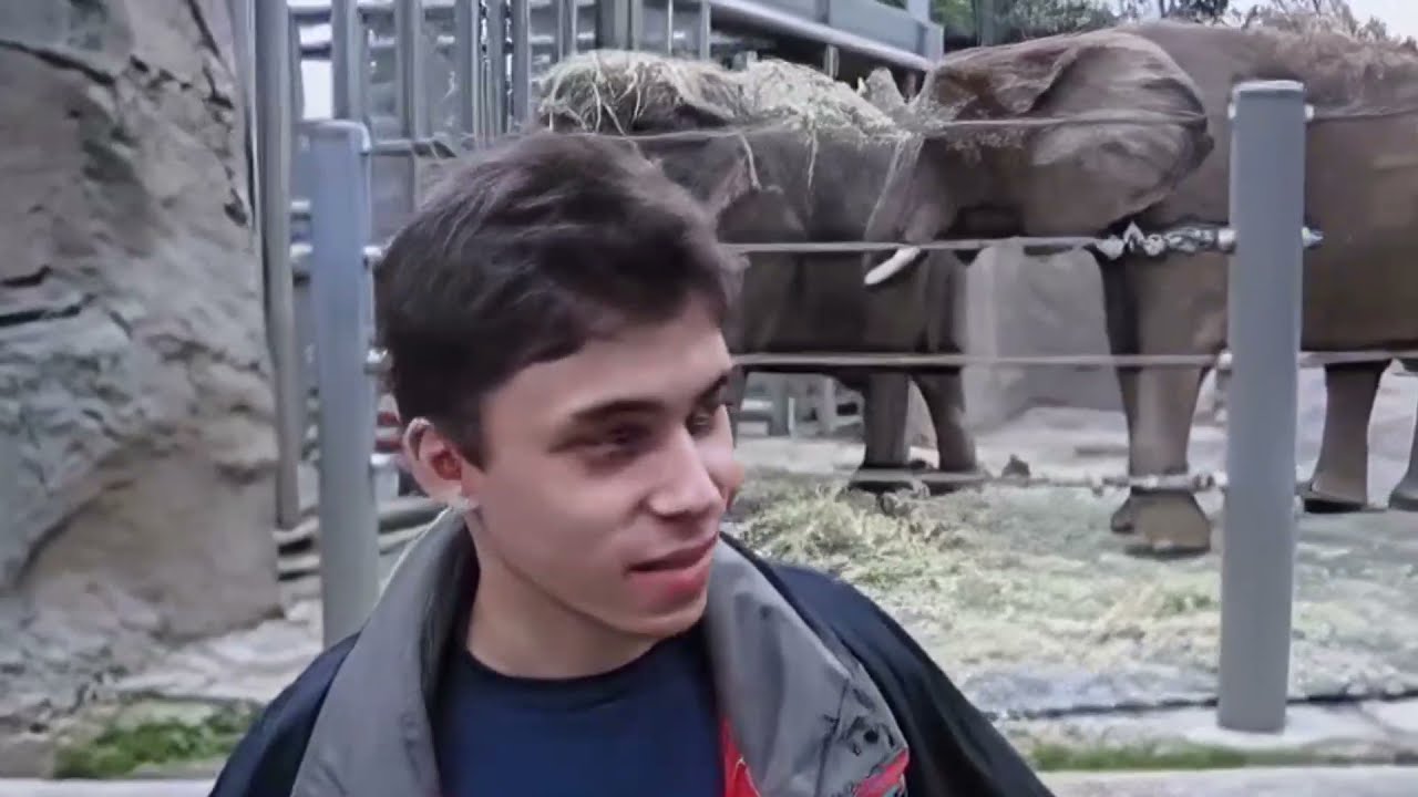 me at the zoo 8k upscaled