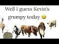 Farm chores with kevin  funny