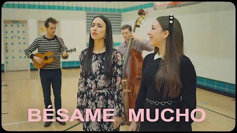 The Ladybugs - Bsame Mucho - feat. Michael Valeanu...