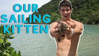 We Rescued A Stray Kitten