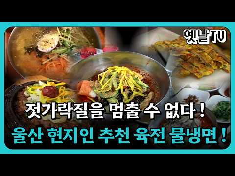 젓가락질을 멈출 수 없다! 울산 현지인 추천 육전 물냉면!