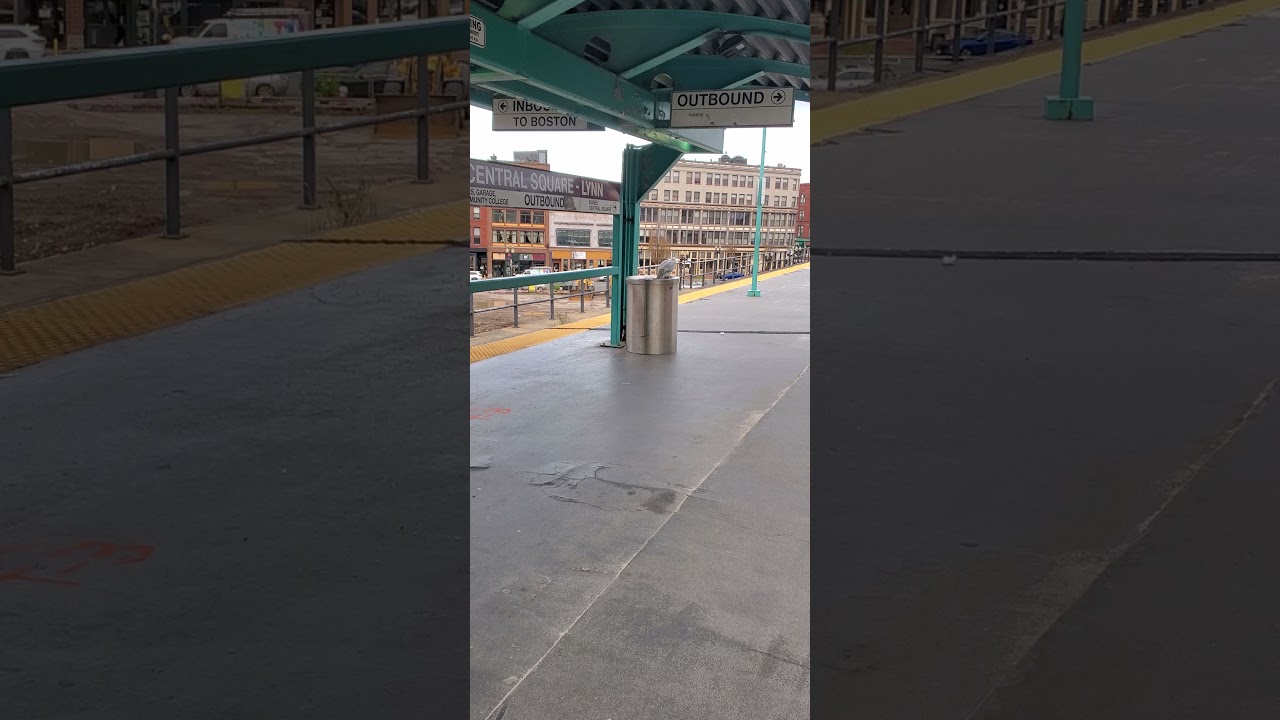 Bird eating from garbage can at Lynn train station