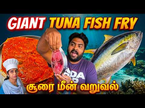 சூப்பரான Sura Meen Varuval 🐟 Tasty GIANT Tuna Fish Fry 🔥