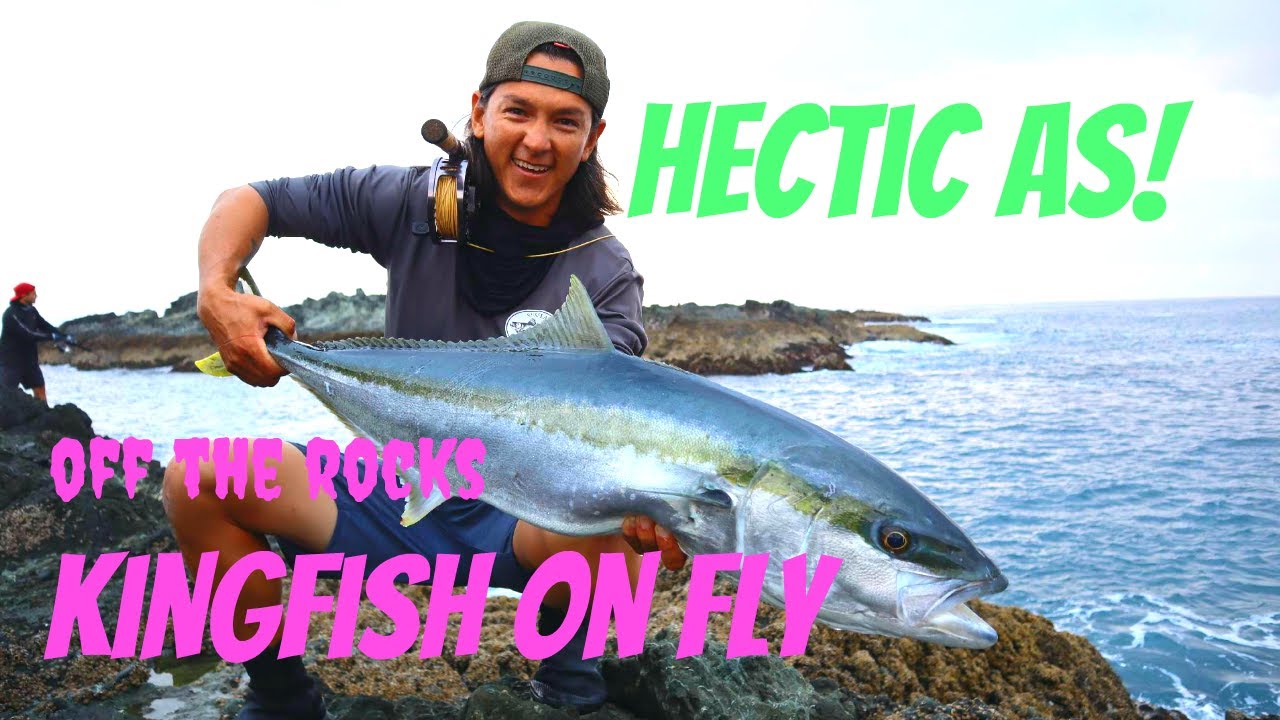 Kingfish On Fly From the Rocks, Degree of Difficulty?