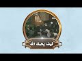 كيف يحبك الله خواطر الشيخ #الشعراوي ي