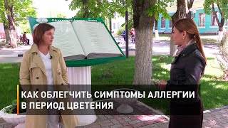 Как облегчить симптомы аллергии в период цветения