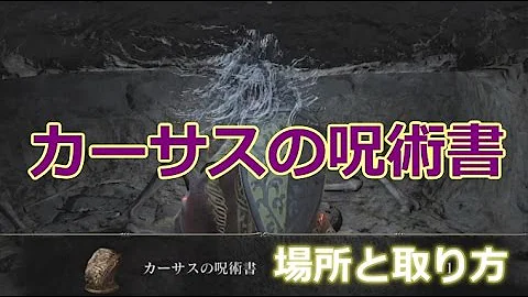 呪術書 ダークソウル3