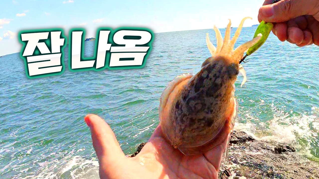 기복 없는 워킹 쭈갑 메카 (9.6)