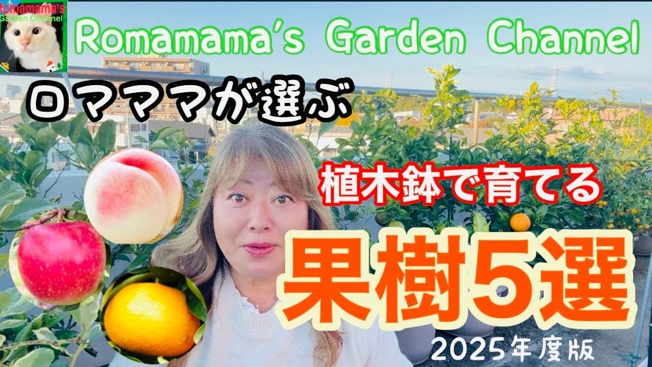 【くだもの栽培】ロマママがお勧めするプランターで育てる果樹5選　2025年度版　#果樹栽培　#プランター栽培 
