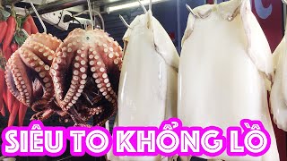 Mực bạch tuộc siêu to khổng lồ xuất hiện chi nhánh 2 siêu ngầu