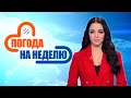 Гололёд и до +2! Прогноз погоды с 10 по 15 декабря | Погода в Беларуси | Плюс-минус