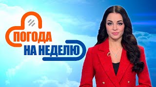 Гололёд и до +2! Прогноз погоды с 10 по 15 декабря | Погода в Беларуси | Плюс-минус