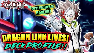 *NEW* Yu-Gi-Oh! DRAGON LINK STILL META! DECK PROFILE w/ Test Hand Combo! POST DECEMBER 2020 BANLIST!