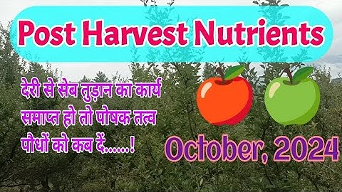 Post harvest nutrients 2024 // October, 2024 // @bagwanikibaat