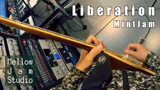 Video thumbnail of "Liberation / MintJam (a2c playthrough)"