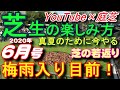 ６月の芝生の手入れ 梅雨対策と真夏の準備　芝生の楽しみ方６月号　芝活2020