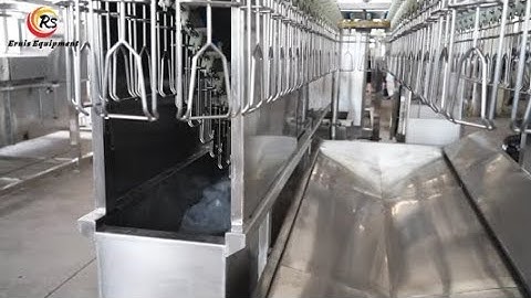The Quality Journey of Eruis Compact Poultry Slaughter Line