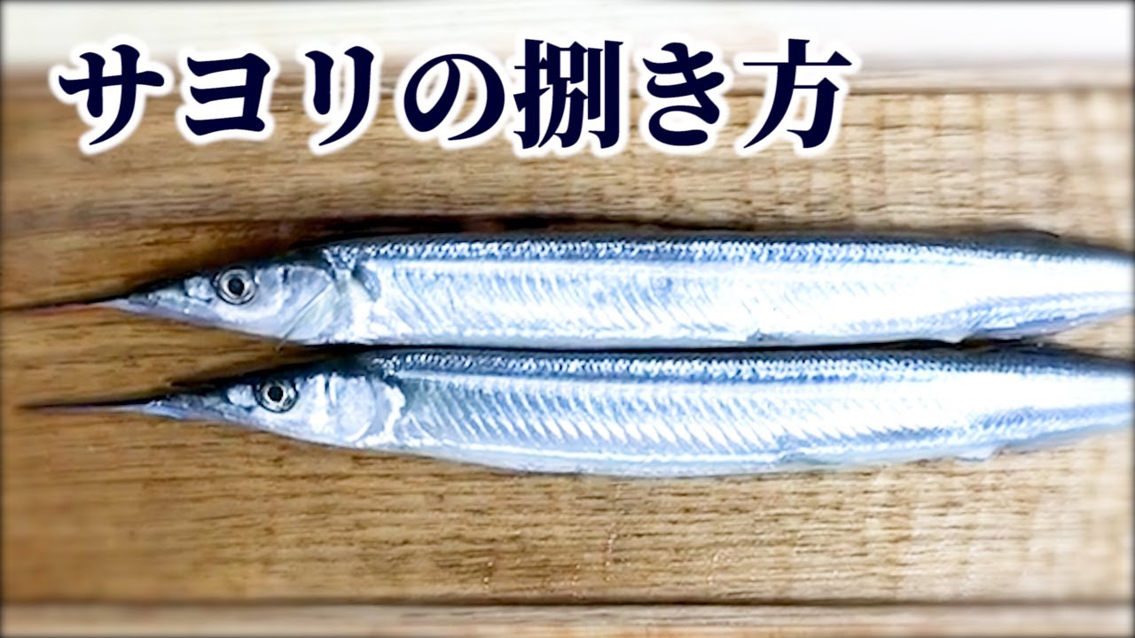サヨリの捌き方 刺身の作り方や切り方のコツを紹介 腹黒い の意味の由来となった魚 Youtube