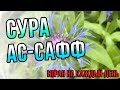 КРАСИВОЕ ЧТЕНИЕ СУРЫ АС-САФФ - КОРАН НА КАЖДЫЙ ДЕНЬ