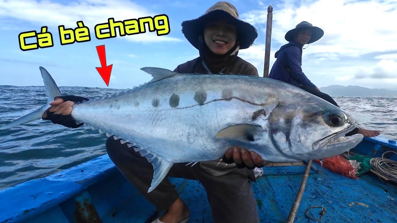 Câu cá giải trí - câu jig cá chang tại đảo hòn Lá, Đà Nẵng