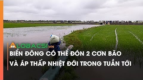 Biển Đông Có Thể Đón 2 Cơn Bão Và Áp Thấp Nhiệt Đới Trong Tuần Tới