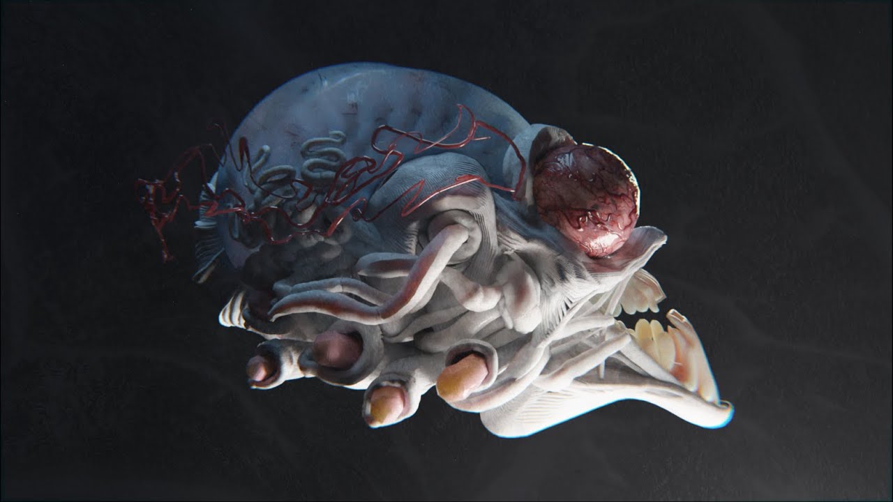 PILOT | Mashed Parts | Quill + Blender