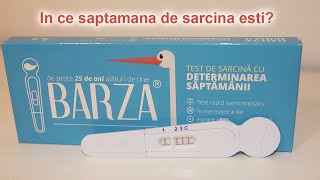 Sarcina Pe Saptamani - Test De Sarcina Cu Determinarea Saptamanii - Barza