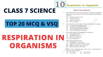 Best MCQ Class 7 Respiration in Organisms NCERT EXEMPLAR | Class 7 MCQ Science // Class 7 Science