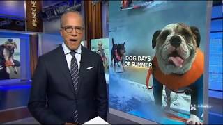 NBC Nightly News coverage of World Dog Surfing Championships 2019