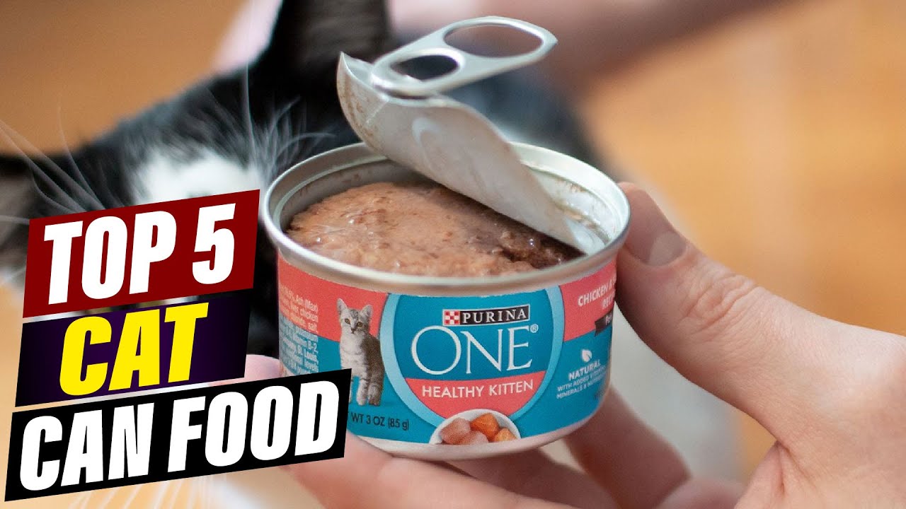 Affordable Cat Can Food: Budget-Friendly Options